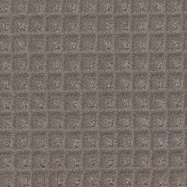 Tarkett Home Carpets Cambria Granite LEXMARK
