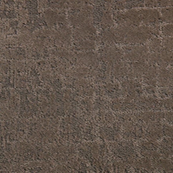 Tarkett Home Carpets Noble Fortune LEXMARK