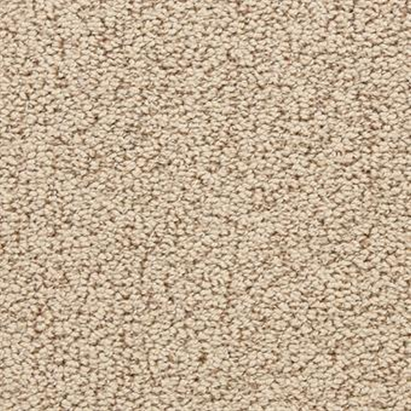 Masland Carpets Marina Del Mar Cabin Fever Masland