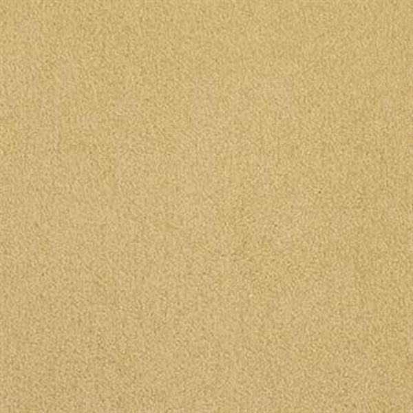 Masland Carpets Americana Scallop Masland