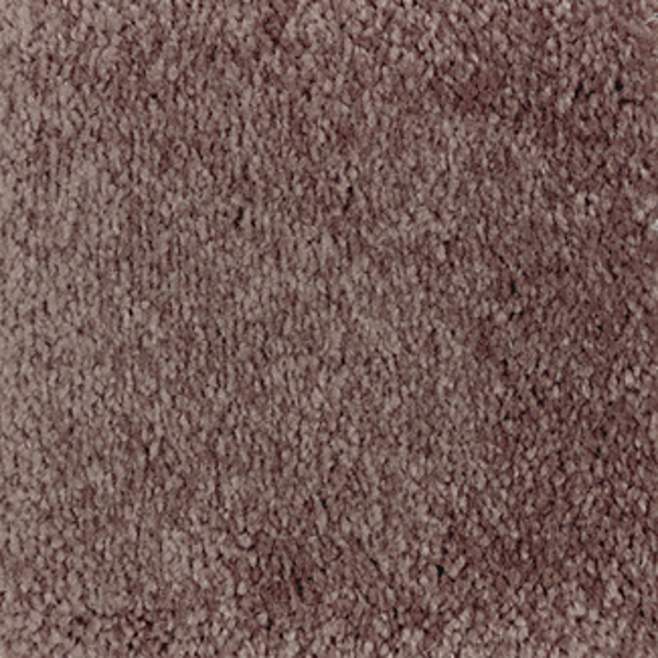 Mohawk Carpet Homefront I Flora Mohawk