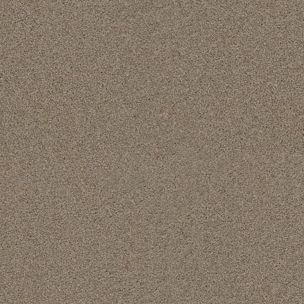 Dreamweaver Carpet Exceptional II Iced Coffee DREAMWEAVER