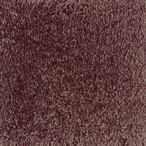Mohawk Carpet Homefront II Mademoiselle Mohawk