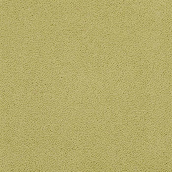 Masland Carpets Panache Pistachio Masland