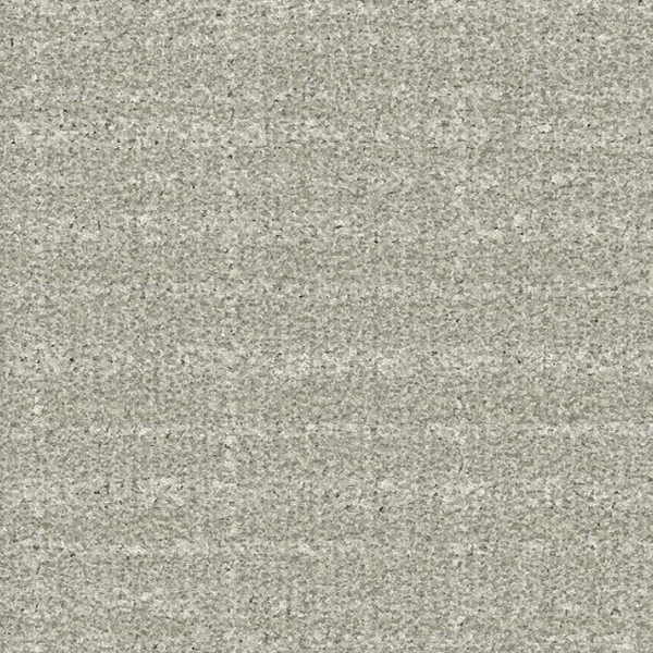 Tarkett Home Carpets Presidio Cahsmere LEXMARK