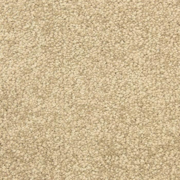 Masland Carpets Vero Beach Sedgewick Masland