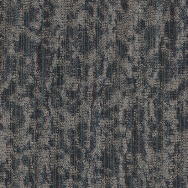 Philadelphia Commercial Folium Alcove Shaw