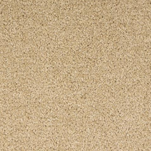 Dixie Home Spectrum The Gold