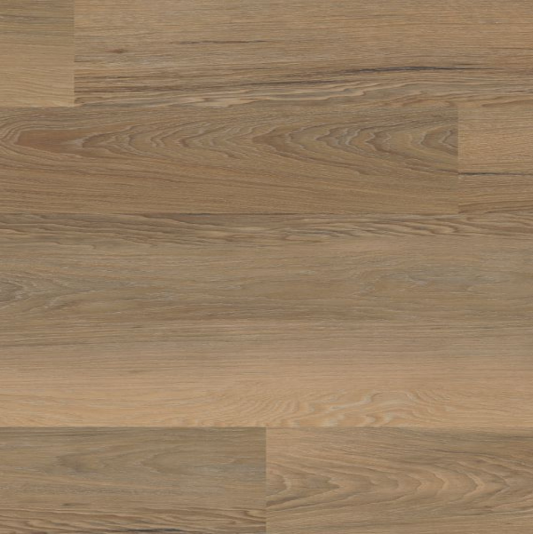 COREtec Plus COREtec ONE Plus Niland Chestnut US FLOORS, LLC