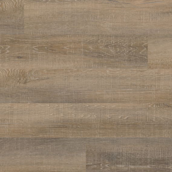 COREtec Plus COREtec ONE Plus Laguna Beach Oak US FLOORS, LLC