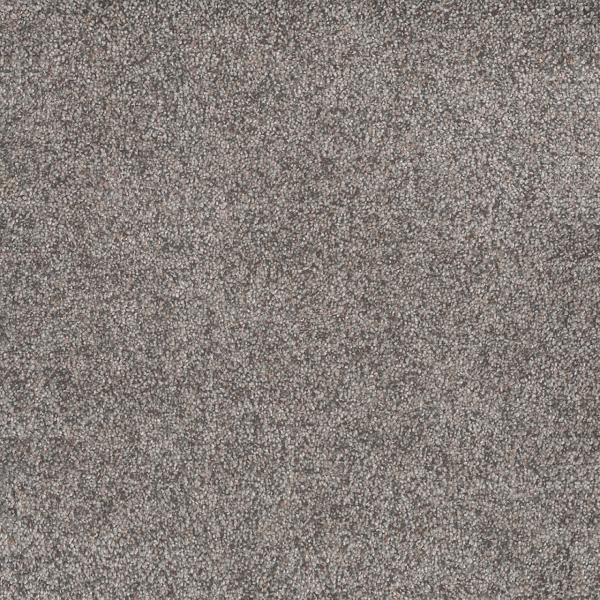 Dreamweaver Carpet Rustic Retreat I Songbird DREAMWEAVER