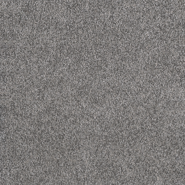 Dreamweaver Carpet Rustic Retreat I Blueberry Field DREAMWEAVER
