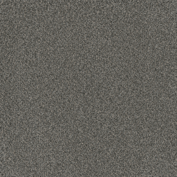Dreamweaver Carpet Titan I Crystal Downs DREAMWEAVER