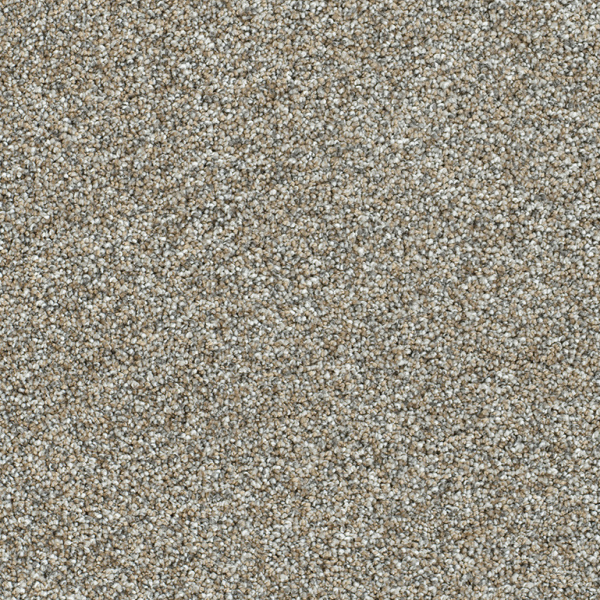 Dreamweaver Carpet Affinity II Gravel DREAMWEAVER