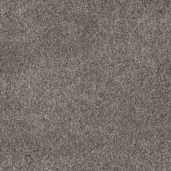 Dreamweaver Carpet Rustic Retreat I High Sierra DREAMWEAVER