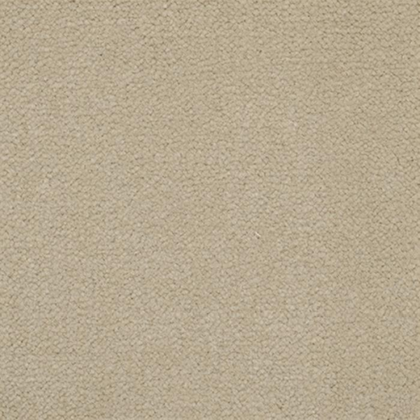 Masland Carpets Panache Stone Masland