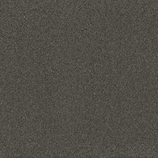 Dreamweaver Carpet Blazer I Smoky Quartz DREAMWEAVER