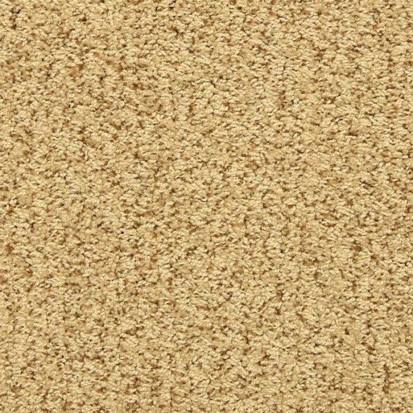 Masland Carpets Sea Grass Amber Glow Masland