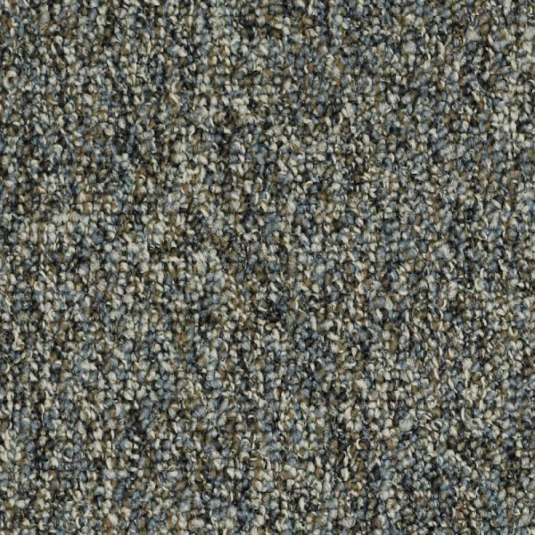 Shaw Floors Invincible 26 Bridle Path SHAW