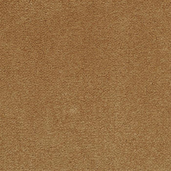 Masland Carpets Panache Moccasin Masland