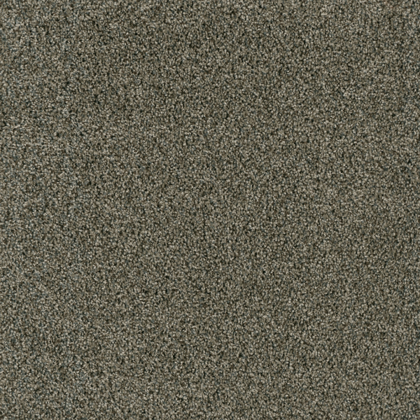Dreamweaver Carpet Acclaim Midnight Shadow DREAMWEAVER