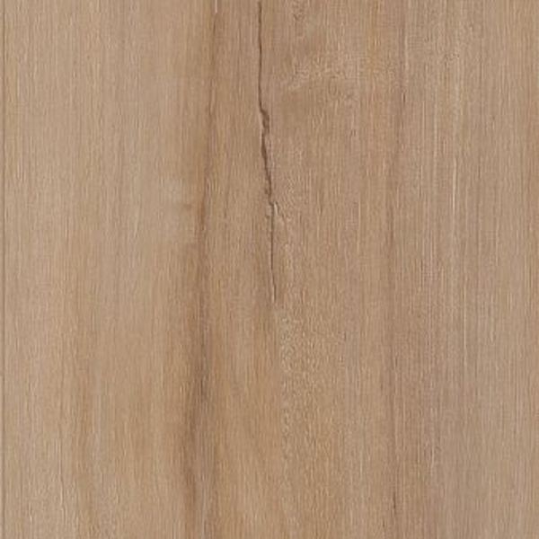 COREtec Plus COREtec Pro Plus Enhanced Planks 5mm Lucent Oak (5 MM) US FLOORS, LLC