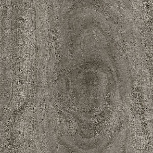 Milliken Luxury Vinyl Flooring Eucalyptus Saligna Koala MILLIKEN