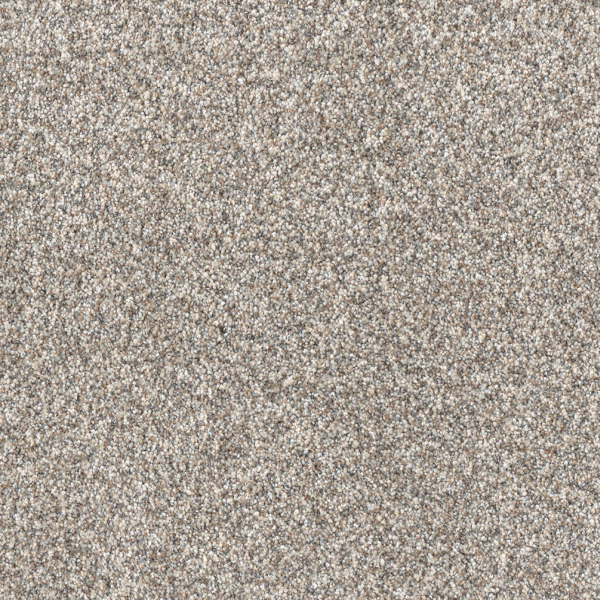Dreamweaver Carpet Affinity III Classy DREAMWEAVER
