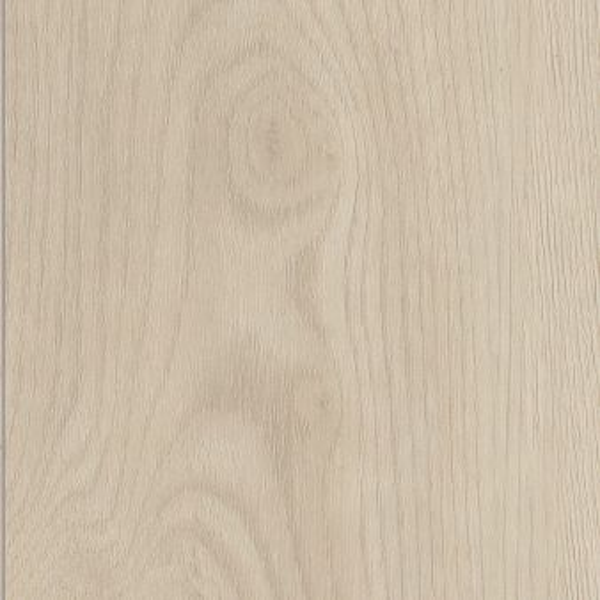 Shaw Luxury Vinyl Paladin Plus Plank Silver Dollar SHAW