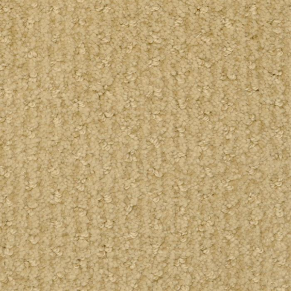 Masland Carpets Pinehurst Mulligan Masland