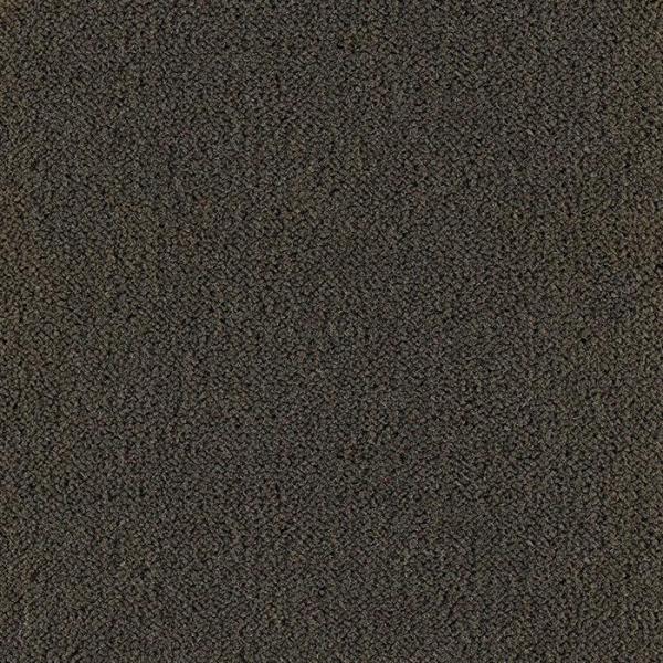 Masland Carpets Panache Prairie Masland