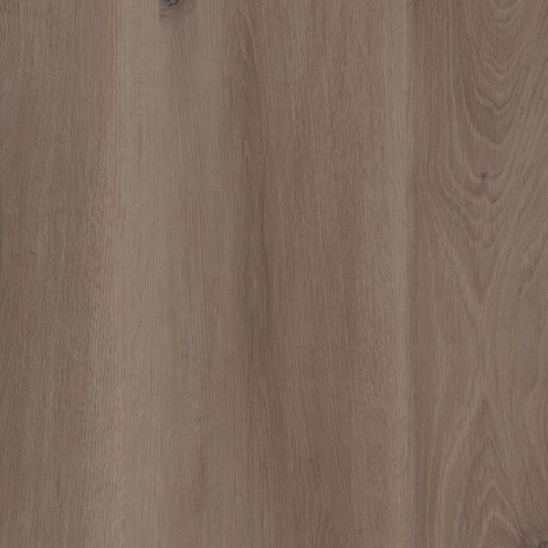 COREtec Plus COREtec Premium with Soft Step 9 Inches Mist Oak US FLOORS, LLC