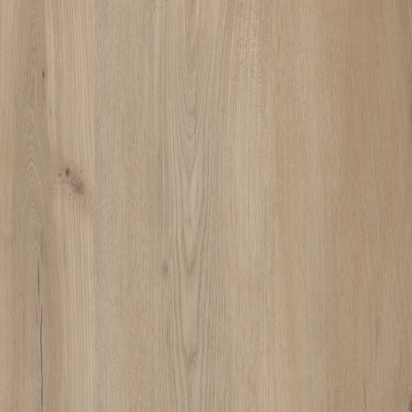 COREtec Plus COREtec Premium with Soft Step 9 Inches Sea Salt Oak US FLOORS, LLC