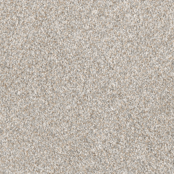 Dreamweaver Carpet Affinity III Sparrow DREAMWEAVER
