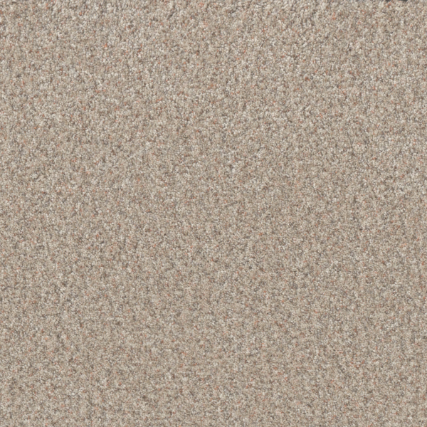 Dreamweaver Carpet Timberline II Blossom DREAMWEAVER