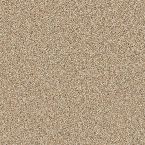 Dreamweaver Carpet Broadcast Plus Frosted Clay DREAMWEAVER
