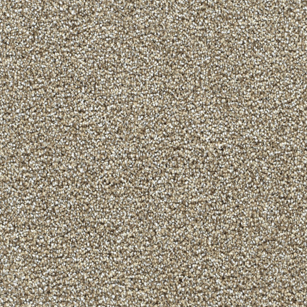 Dreamweaver Carpet Breakview I Pine Log DREAMWEAVER