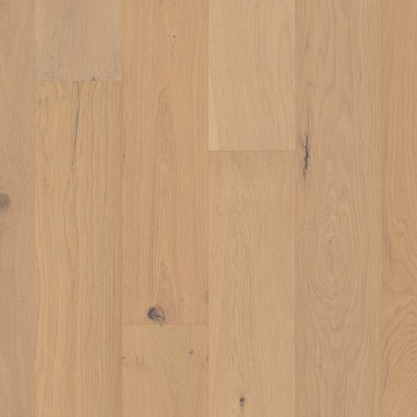 Shaw Hardwood Ensemble Champagne Shaw