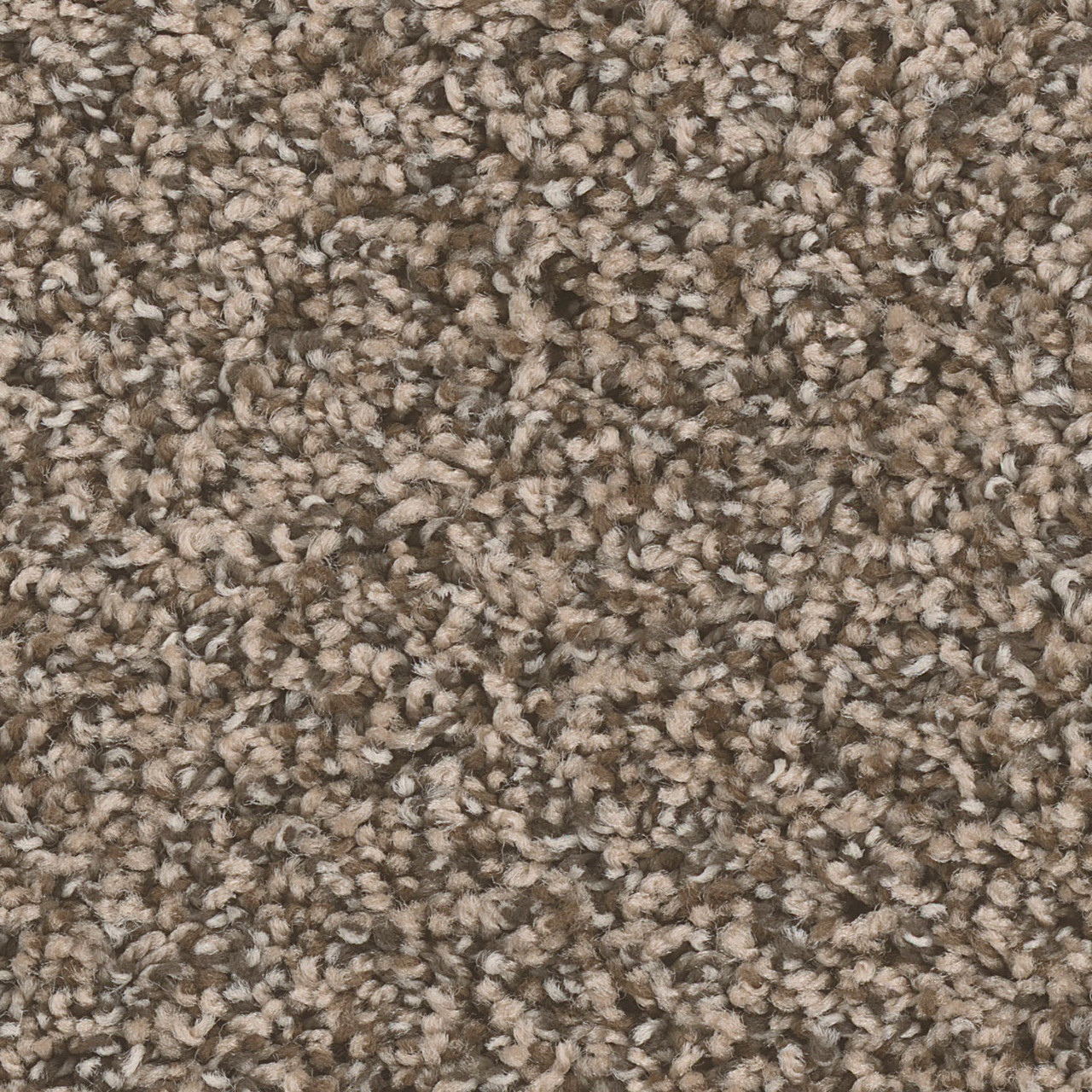 Dreamweaver Carpet West Brow Bedrock DREAMWEAVER
