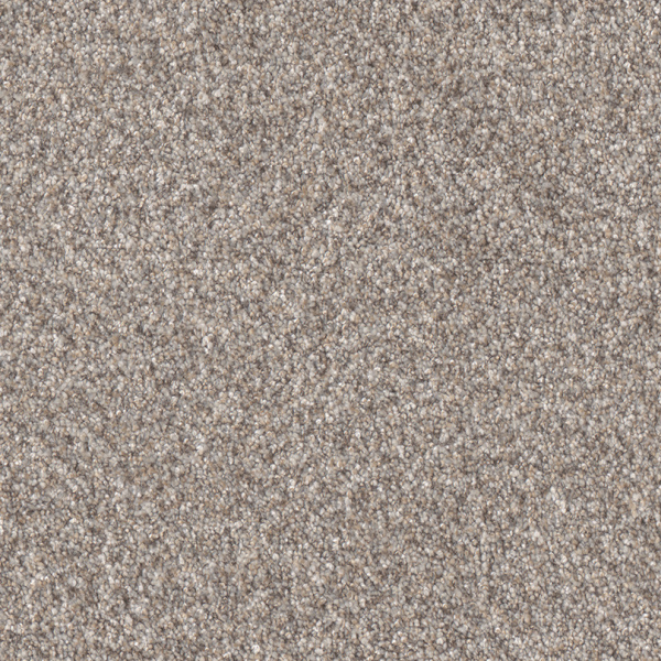 Dreamweaver Carpet Affinity II Mesa DREAMWEAVER
