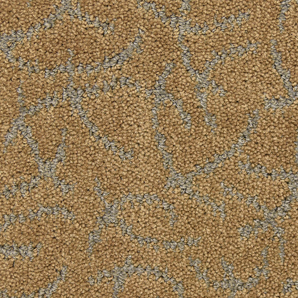Masland Carpets Altair Star Masland