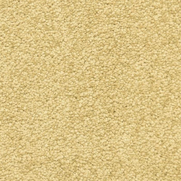 Masland Carpets Morgan Bay Bronze Masland