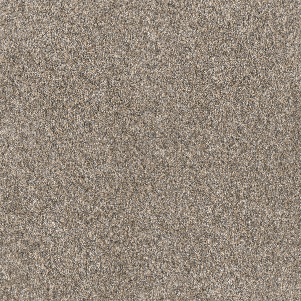 Dreamweaver Carpet Affinity I Spice DREAMWEAVER