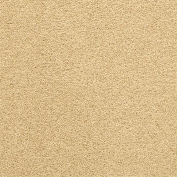 Masland Carpets Patriot Marvel Masland