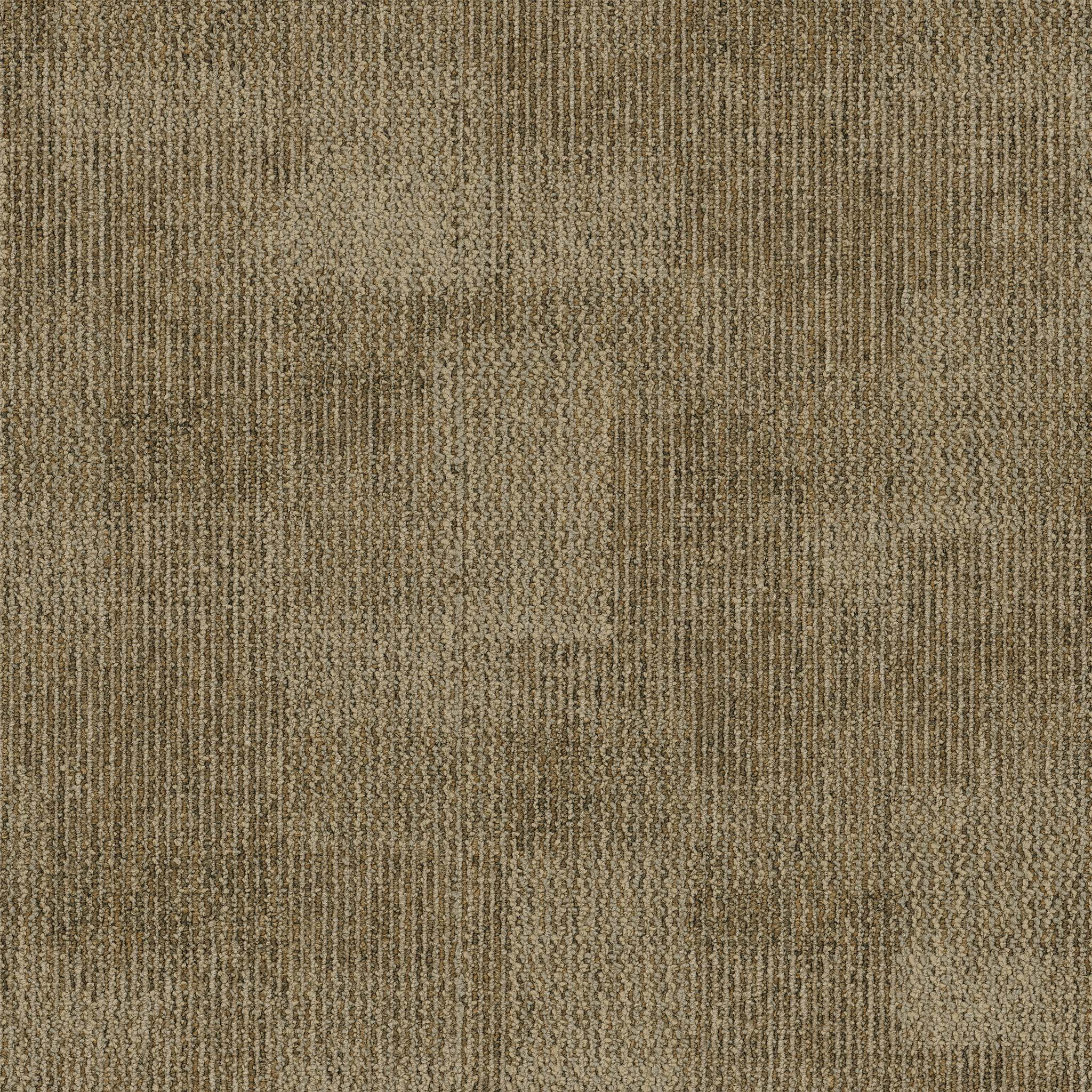 Pentz Carpet Tile by Engineered Floors Revolution Shake-Up ENGINEERED FLOORS