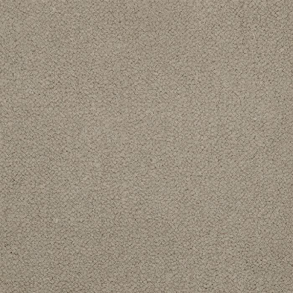 Masland Carpets Panache Shale Masland