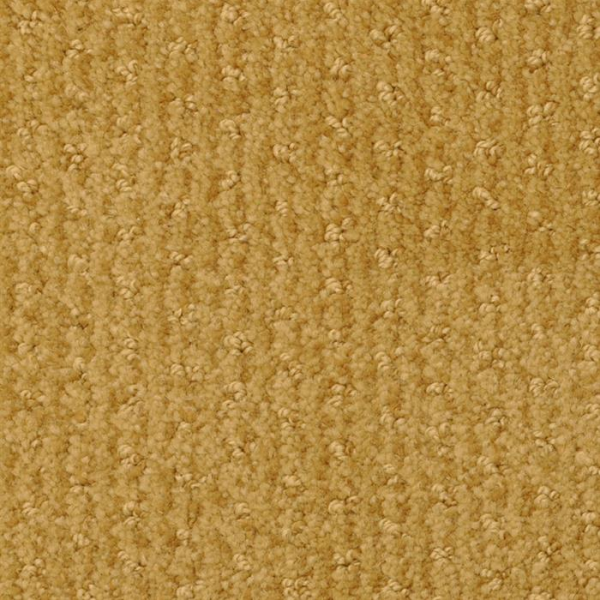 Masland Carpets Pinehurst Denver Masland