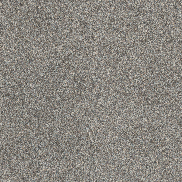 Dreamweaver Carpet Affinity II Moxie DREAMWEAVER