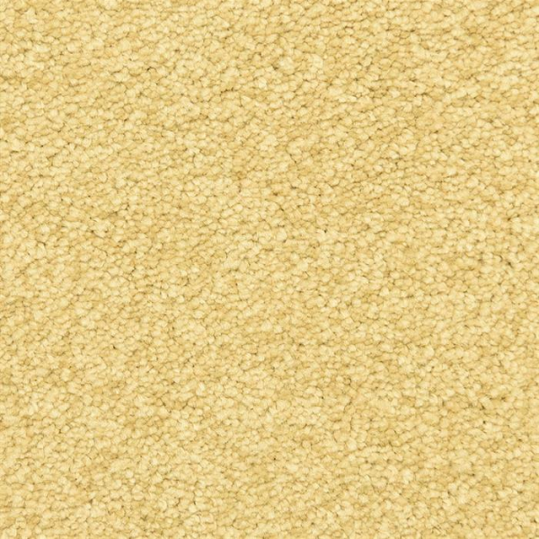 Masland Carpets Vero Beach Cheshire Masland