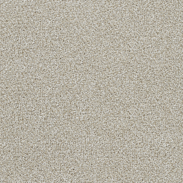 Dreamweaver Carpet Lucky Penny I Northlight DREAMWEAVER